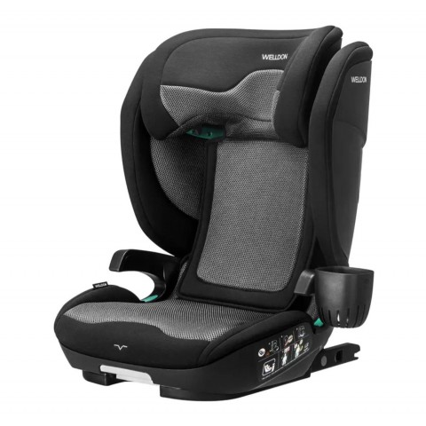 Автокресло Welldon Cocoon Travel 2 -EBONY