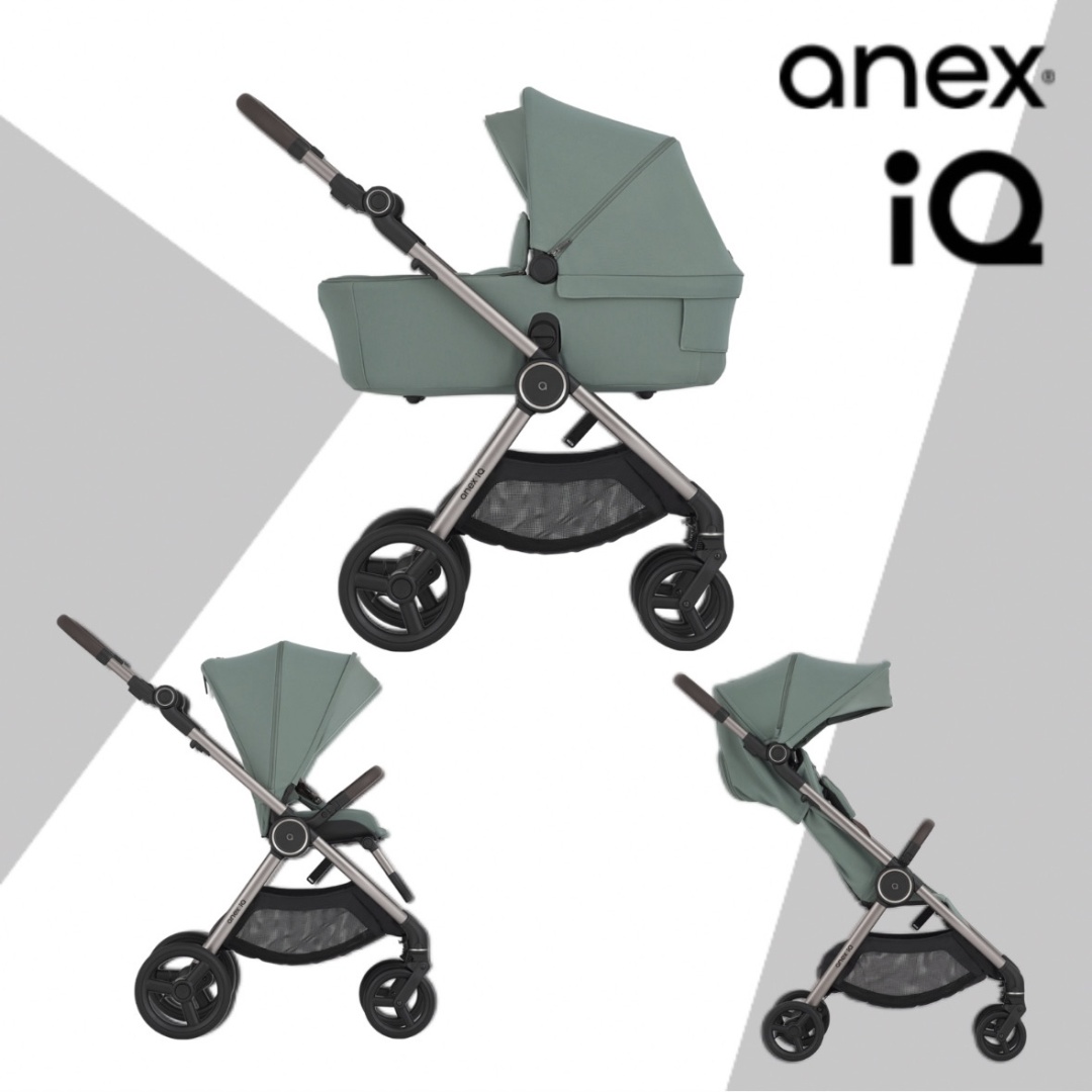 Коляска 2 в 1 ANEX iQ (iQ-09) - RICHI (DNA)