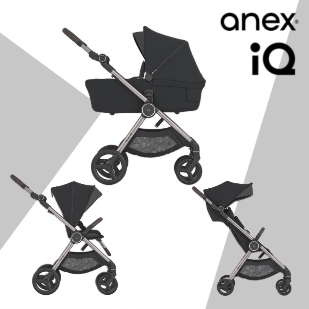 Коляска ANEX IQ Premium (IQ-20) - Darke