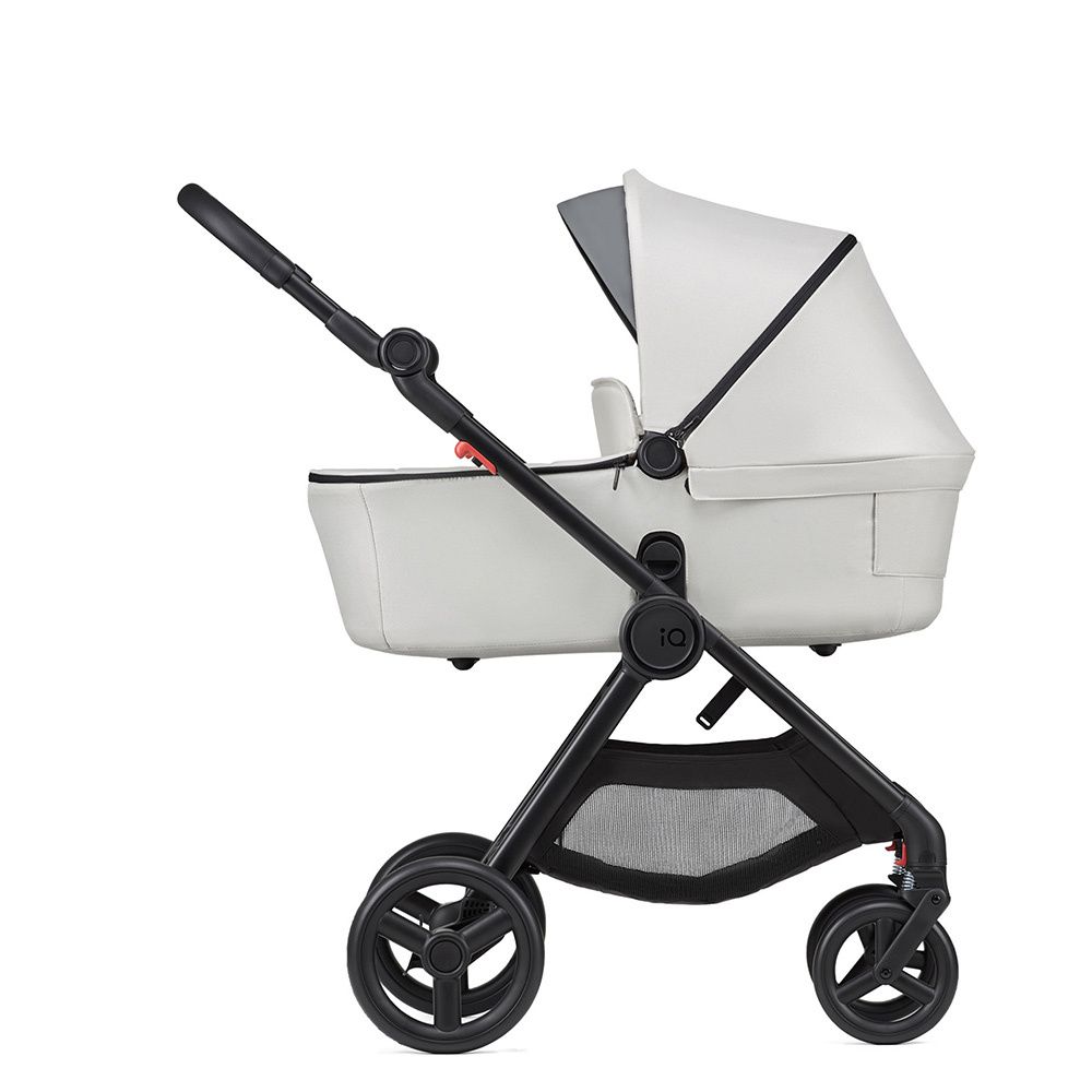 Коляска 2 в 1 ANEX iQ (iQ-13) - SEAL (DNA)